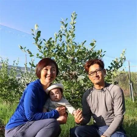 【2026年11月中旬以降順次発送】和歌山産　大玉　陽豊柿　9～12玉(2L～5L)　約3kg_果物・フルーツ 柿（カキ）  かき_【1496121】