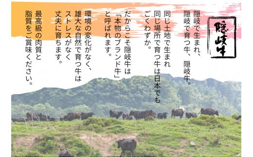 【幻の隠岐牛】ロース すき焼き 600g 島育ちの本物のブランド黒毛和牛(隠岐牛 黒毛和牛 牛肉 肉 すき焼き用 A4 A5 ブランド牛 放牧 ロース)_イメージ5