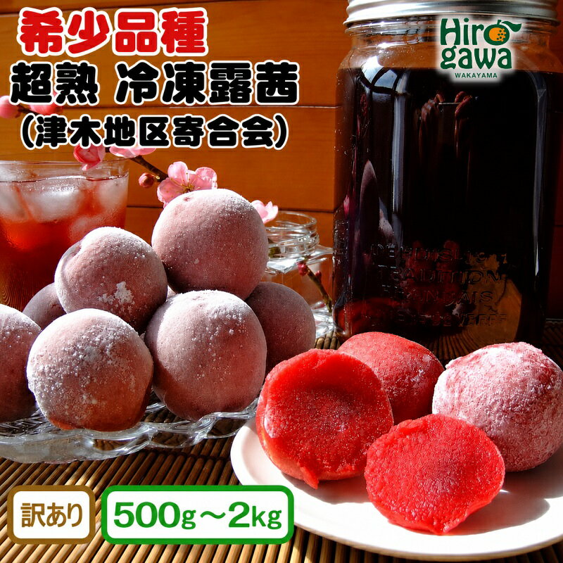 【ふるさと納税】 露茜 ( 冷凍 ) 訳あり / つゆあかね 梅 すもも 梅 ジュース 梅酒 家庭用 和歌山 ※5営業日以内に発送 //hokaf