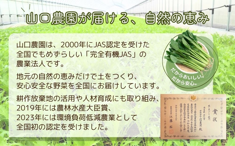 （チルド）山口農園 有機野菜 おまかせセット ＋ カレー２