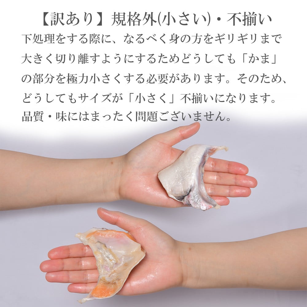 塩銀鮭かま　270g×12パック