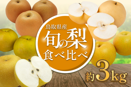 【2026・先行予約】 品種はおまかせ2種類 旬の梨ミックス 3kg｜鳥取 果物 フルーツ なし 梨 2026年収穫後【41042】