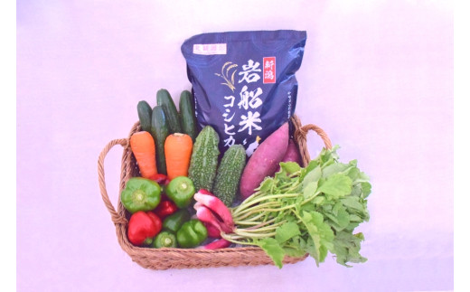 【令和7年産米】新潟県村上市岩船米コシヒカリ5kgと季節の野菜セット② B4026