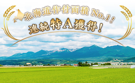ななつぼし 精米 北海道産 ななつぼし【5kg】【定期便6ヵ月】