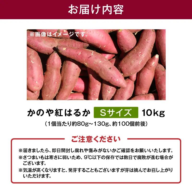 1672 かのや紅はるか 生芋 Sサイズ 10kg KN011-001 菓子 さつまいも 野菜