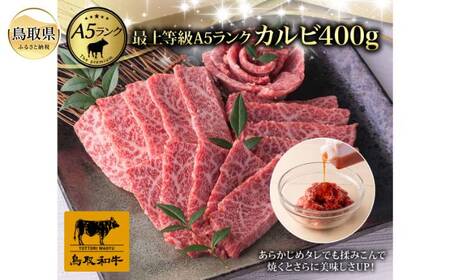 C25-029 最上等級A5ランク 鳥取和牛特上カルビ(400g）（2～3人前）
