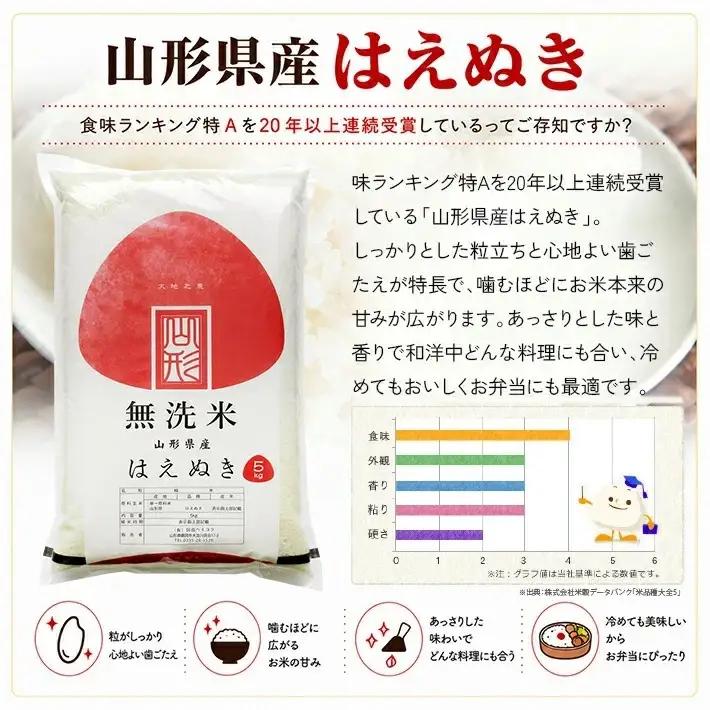 ≪新米予約≫ 令和8年11月中旬お届け 無洗米 はえぬき 5kg 山形県産 令和8年産米 ご希望の時期頃お届け 東北 山形県 遊佐町 庄内地方 精米 白米 小分け 少人数 阿部ベイコク[1576R08