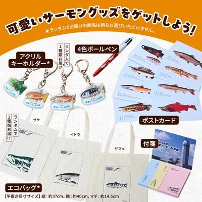 ふるさと納税 標津町 標津サーモン科学館グッズセットA　エコバッグ ポストカード ボールペン 付箋 キーホルダー |  | 01