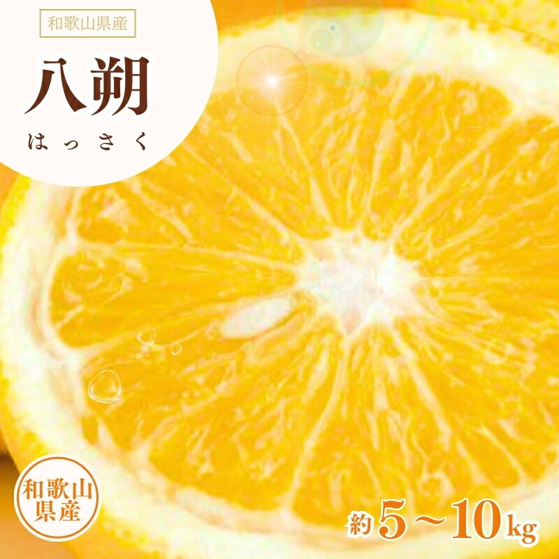 【ふるさと納税】 八朔(はっさく) 約5kg 約10kg サイズおまかせ 紀伊国屋文左衛門本舗【予約受付/2026年1月下旬〜4月上旬頃に発送】(お届け日指定不可)
