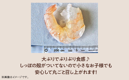 H7-62【背ワタなし】大型むきエビフライセット 15尾×2パック