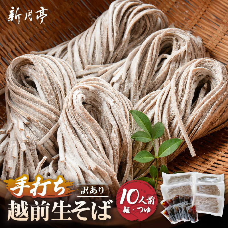 【ふるさと納税】 冷蔵 生そば 10人前(だし付き) 越前蕎麦 こだわり (保存料・防腐剤・添加物不使用）美味しいそばのゆで方ポイント付 【ソバ 訳あり 麺 お届け希望日指定可能 年末 年越し ざるそば 家族 楽しみ 夕食 アレンジ 】