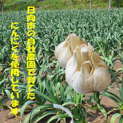 ふるさと納税 日向市 にんにく卵黄 純力 サプリメント〔35粒×4袋〕(約4か月分) |  | 03