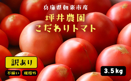 7月3日まで！！！ ＼数量限定／ 坪井農園 こだわりトマト【訳あり】3.5kg 期間限定 限定 トマト とまと 訳あり 訳アリ 不揃い ふぞろい 不揃いトマト 不揃いとまと 期間限定 人気 規格外 3.5キロ 3500g 大容量 兵庫県 朝来市 AS2AB17