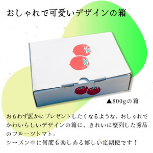 【ふるさと納税】定期便 5回【2026年12月下旬～順次発送】＜フルーツトマト 原田農園 約1,800g 大箱＞桃太郎【常温】送料無料 ＜毎年12月上旬頃まで申込受付＞