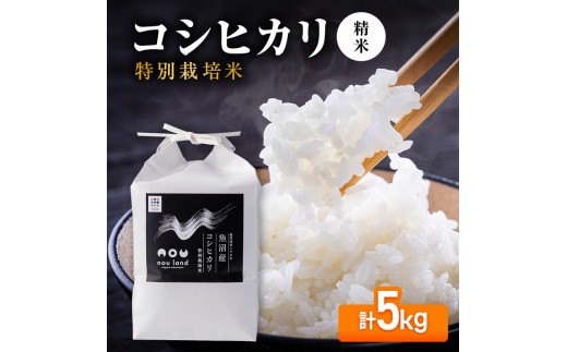 
                  【先行予約】令和8年産 コシヒカリ 特別栽培 精米5kg
                