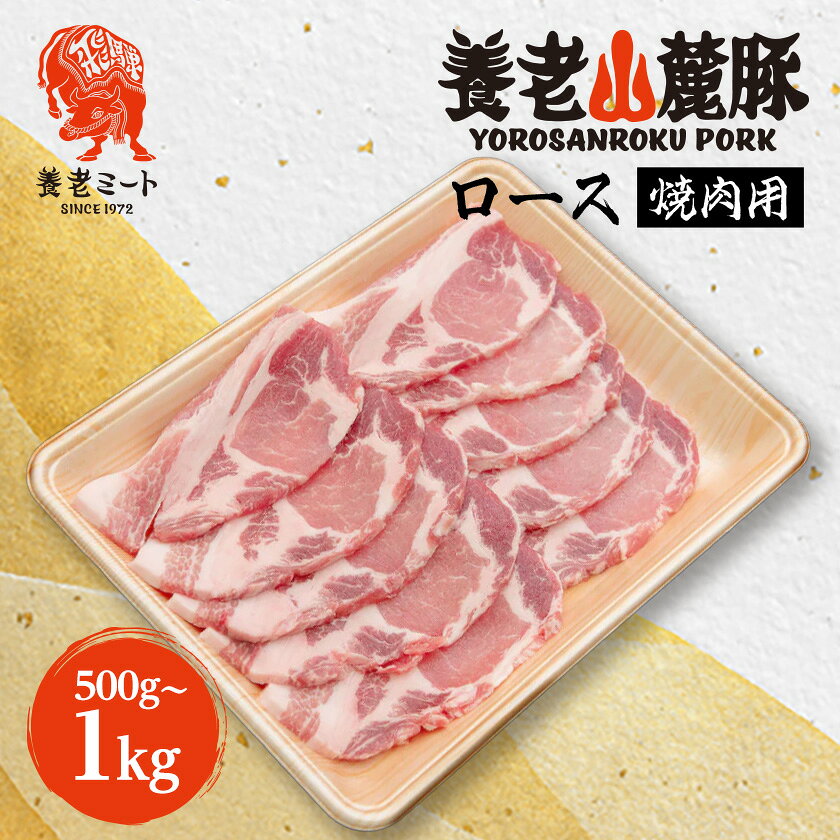 【ふるさと納税】養老山麓豚 ロース 焼肉用 500g(2～3人前)【配送不可地域：離島】【1634049】