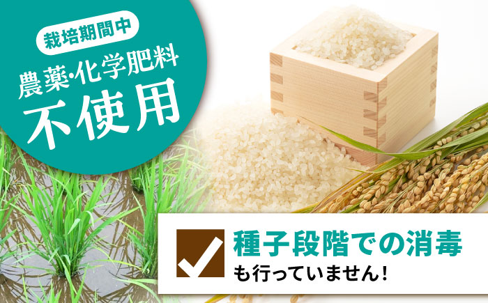 【栽培期間中 農薬・化学肥料不使用】自然米 白米 6kg（ヒノヒカリ 1kg×6袋）/自然庵 [UCQ017]