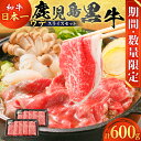 【ふるさと納税】 期間 数量限定 鹿児島黒牛 ウデ スライス セット 計 600g 牛 肉 黒牛 ウデ肉 限定 なくなり次第終了 和牛 日本一 ブランド牛 すきやき しゃぶしゃぶ 牛丼 冷凍 国産 赤身 柔らかい JA 経済連 鹿児島 鹿児島市 おすすめ ランキング プレゼント ギフト