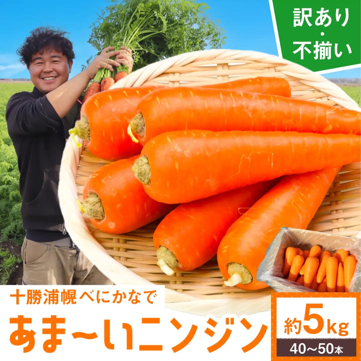 十勝 浦幌べにかなで 人参 訳あり 不揃い 約5kg 農事組合法人レギューム