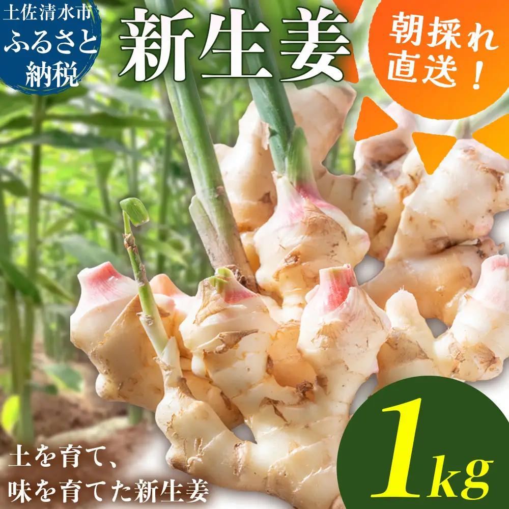 新生姜 1kg 水洗いのみ【R01771】