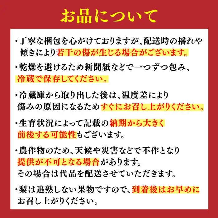 【2026年発送分 先行予約】【化粧箱入り】新吉（新高）4個入（約3kg） / 佐賀県 / 大川三世代 [41AEAB009]