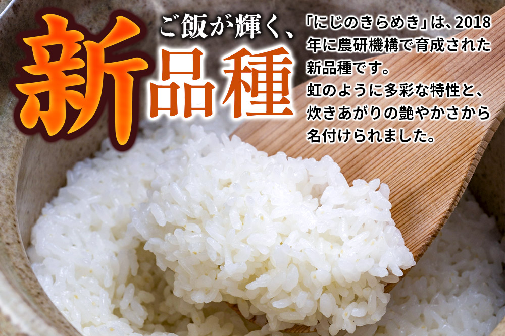 《新米受付》令和7年産【白米】群馬県 板倉町産 にじのきらめき 10kg（5kg×2袋）