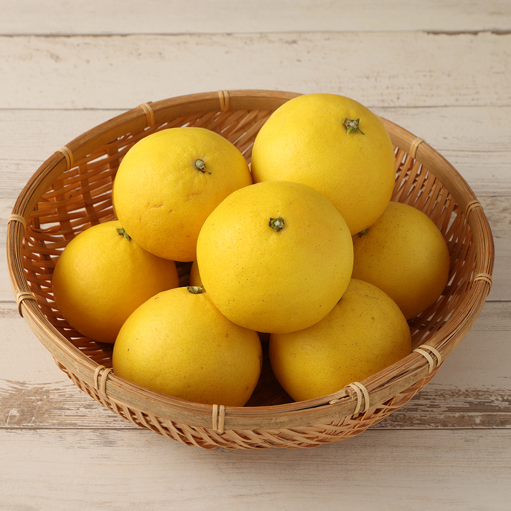 【先行予約】R8発送＜訳あり＞オレンジ園の小夏2.5kg 日向夏 みかん 柑橘 フルーツ 果物 こなつ ﾆｭｰｻﾏｰｵﾚﾝｼﾞ  旬 2.5キロ 美味しい 食感 常温 国産 訳あり 高知県 土佐清水市