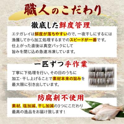 ふるさと納税 京丹後市 【店主一押し!絶品干物!高リピート!】エテカレイ一夜干し干物セット 中サイズ(朝食サイズ)12枚 |  | 02