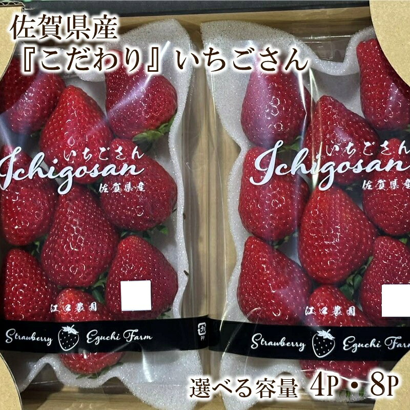 【ふるさと納税】佐賀県産『こだわり』いちごさん 240g 4パック 8パック【 いちごさん いちご 苺 フルーツ 果物 佐賀県産 240g ふるさと納税 いちご 】