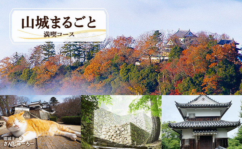 
            [№5615-0614]体験 岡山 天空の山城 備中松山城スペシャルガイドツアー (山城まるごと満喫コース) B 高梁市 備中 松山城 ガイド ツアー 見学
          