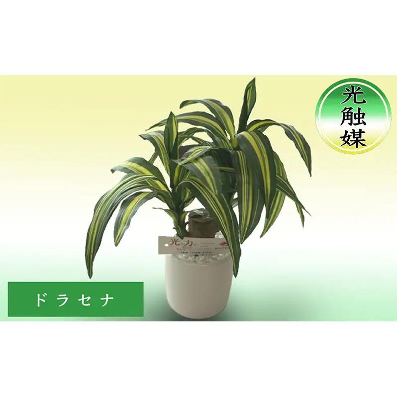 光触媒 約25cm 造花 北海道 光触媒 ドラセナ 抗菌