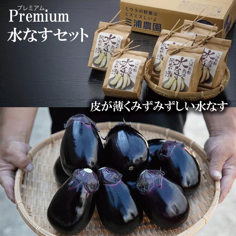 【先行予約】Premium水なすセット【新鮮 野菜 泉佐野産 茄子 やさい 高評価 数量限定】 020C066