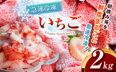 冷凍いちご とちあいか 2kg カット済み 訳あり