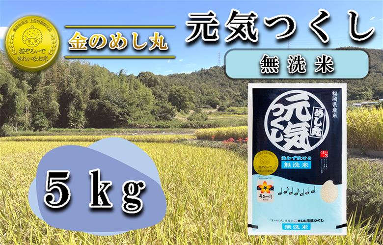 CE-067_【無洗米】金のめし丸元気つくし　５Kg（１袋）