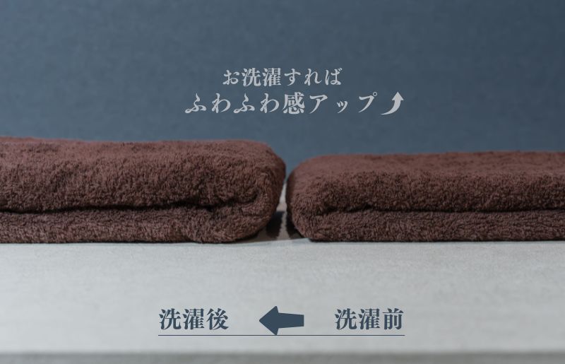 スーピマバスタオル 2枚（ブラウン）【国内製造 日本製 泉州タオル スーピマコットン 無地 吸水力 耐久性】