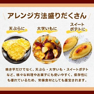 熊本県産 さつまいも 紅はるか 10kg(益城町)【1613653】