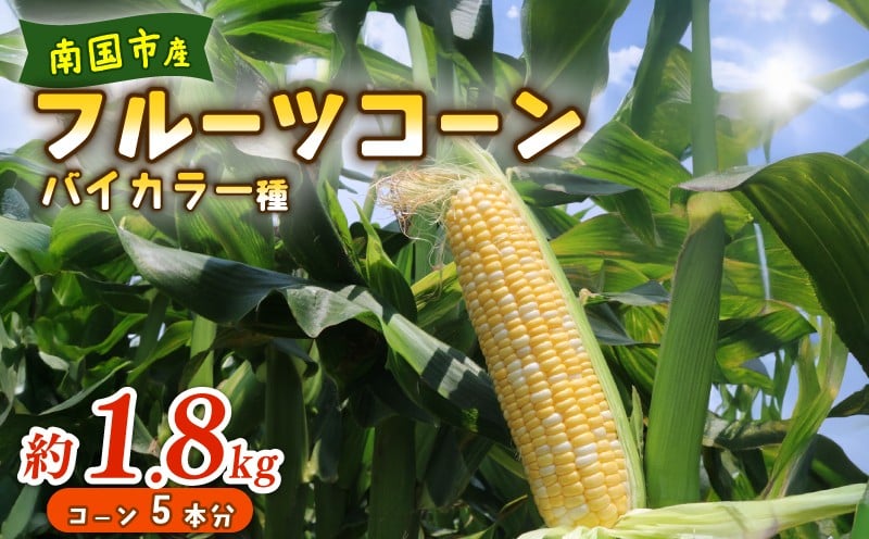 
                  【2026年先行予約】南国フルーツコーン バイカラー種 約1.8kg(5本)  | 2026年5月～6月発送予定 とうもろこし トウモロコシ 国産 詰合せ 期間限定 数量限定 人気 高知県 南国市 農園けんぴ
                