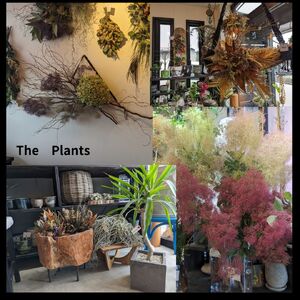 The Plants オリジナル しめ縄 正月 期間限定 ギフト 花 フラワー