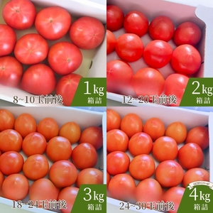 デリシャスファームのトマト(麗月)1キロ箱