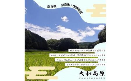 令和7年産 白米  5kg　ykj01