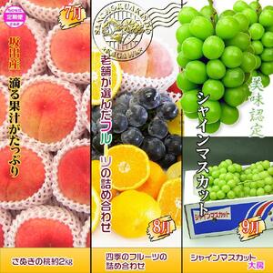 坂出産のフルーツとさぬきの特産品の定期便12回【Bコース】