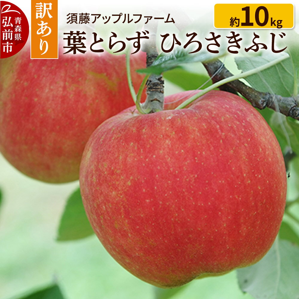 【ふるさと納税】りんご【訳あり】家庭用 ひろさきふじ 約10kg（葉とらず）