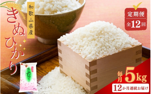 【お米の定期便／全12回】 米 キヌヒカリ 60kg(5kg×12回) 2025年産 / 和歌山県 こめ 白ご飯 きぬひかり ライス【sml430-kinu-5x12】