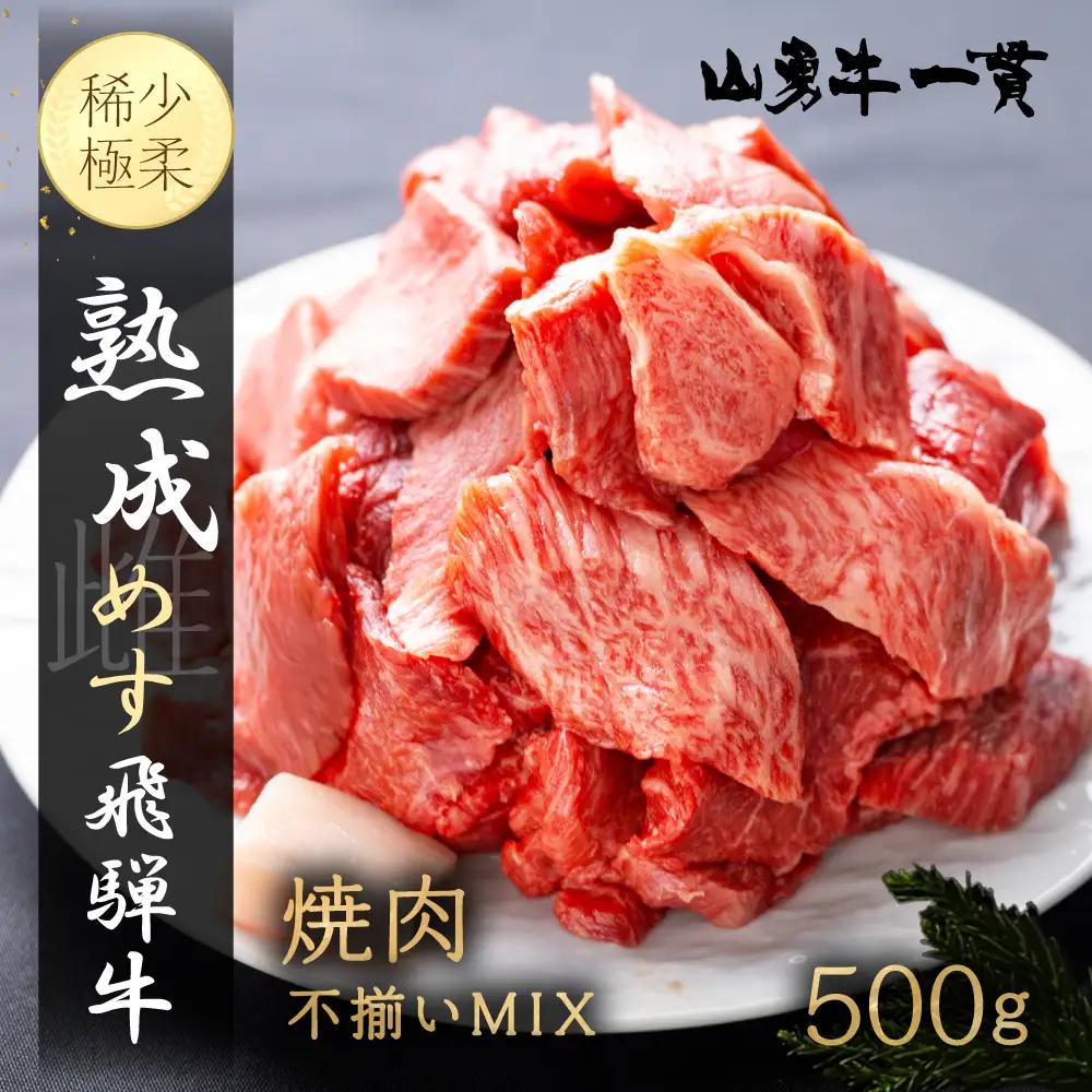 熟成めす 飛騨牛 山勇牛 焼肉 不揃い 部位MIX 500g 飛騨牛 焼肉 不揃い