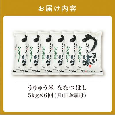 ふるさと納税 雨竜町 【R7新米!定期便全6回】うりゅう米 ななつぼし 精米 5kg(5kg×1袋)毎月1回お届け |  | 03