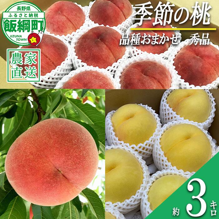 【ふるさと納税】季節の桃（特別栽培） 3kg 秀品 Farm Grand Gift 配送先は本州限定 令和7年度収穫分 長野県 飯綱町 〔 信州 果物 フルーツ モモ 桃 長野 18000円 予約 農家直送 〕発送時期：2025年8月上旬〜