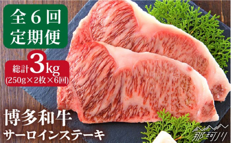 【全6回定期便】博多和牛 牛肉 サーロイン ステーキ 500g（250g×2枚）＜株式会社MEAT PLUS＞那珂川市 サーロインステーキ肉 サーロインステーキ肉 サーロインステーキ肉 和牛 サーロインステーキ肉  定期便 定期便定期便 [GBW017] 101000 101000円