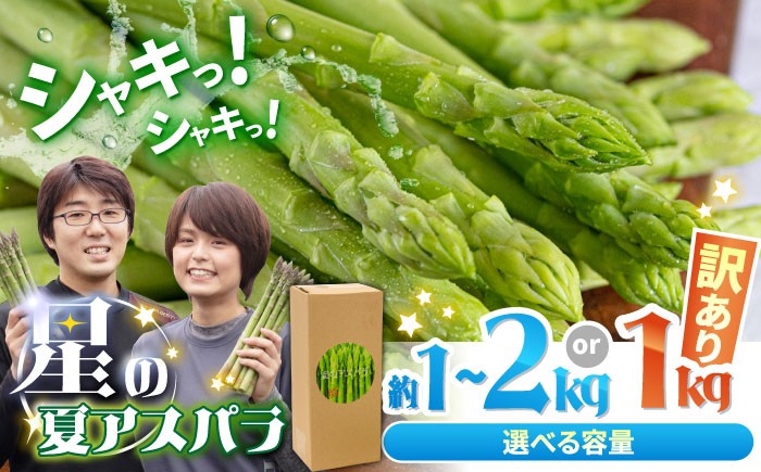 
                  【2026年5月下旬～発送】【選べる内容量】甘い！柔らかい！【星のアスパラ】厳選 グリーン アスパラガス 約1kg 約2kg / アスパラ あすぱら アスパラ あすぱら 厳選 あすぱらがす アスパラ 採れたて 新鮮 旬 産地直送 野菜 2L・L・M  ミックス / 南島原市 / ほしのYA [SEY001] [SEY002]
                