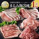 【ふるさと納税】宮崎県産豚肉「まるみ豚」3種セット(スライス・小間切れ・ミンチ)　計1kg - 豚肉 豚 肉 国産 川南町 スライス 小間切れ ミンチ D11515