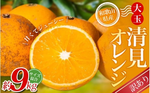 【訳あり】 森本農園の手選別 大玉清見オレンジ 約9kg 和歌山県産 サイズ混合 【北海道・沖縄・離島配送不可】【2026年2月上旬～5月中旬頃に順次発送】【BV-mrmt078】